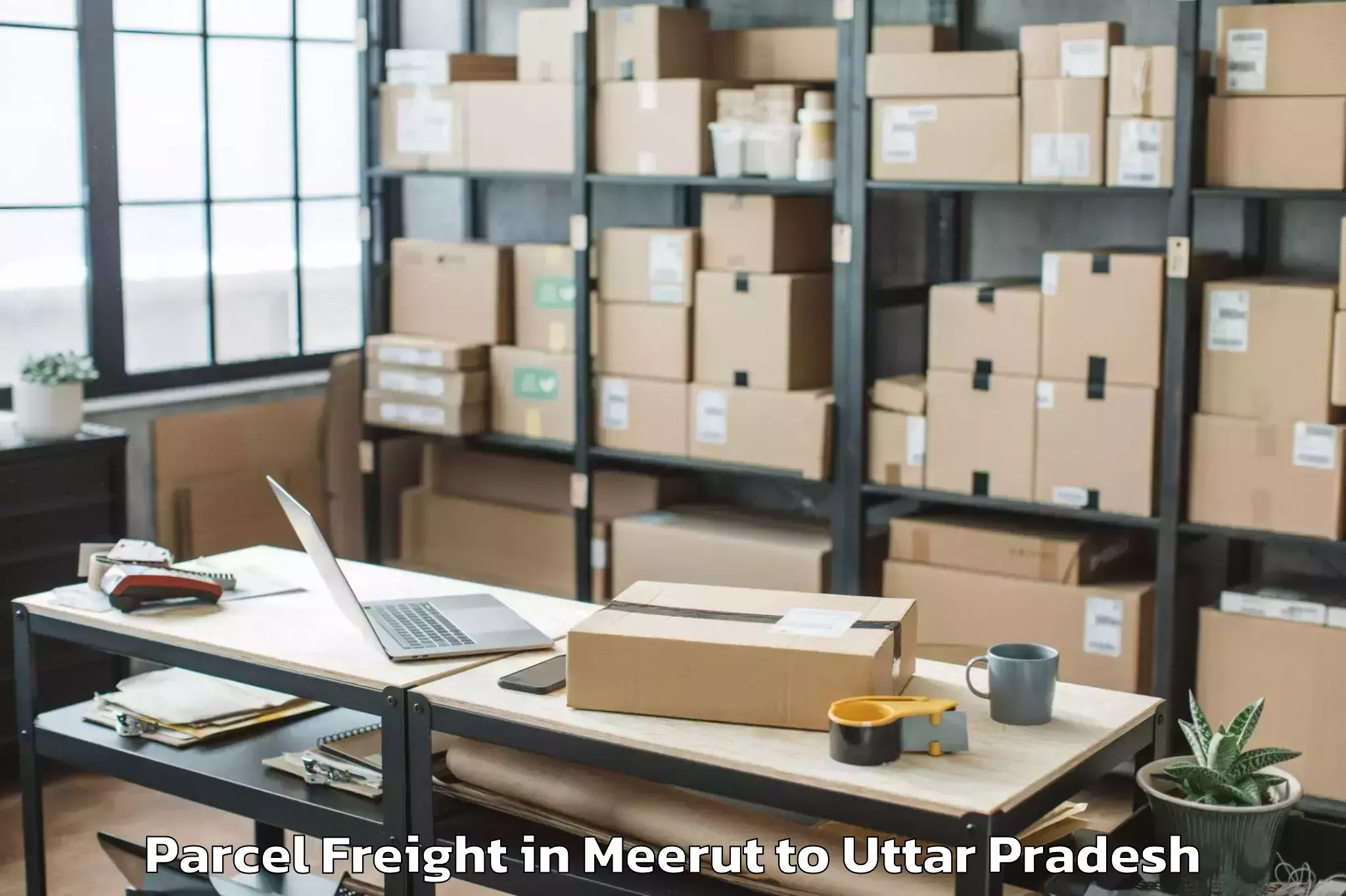 Trusted Meerut to Gardens Galleria Lucknow Parcel Freight